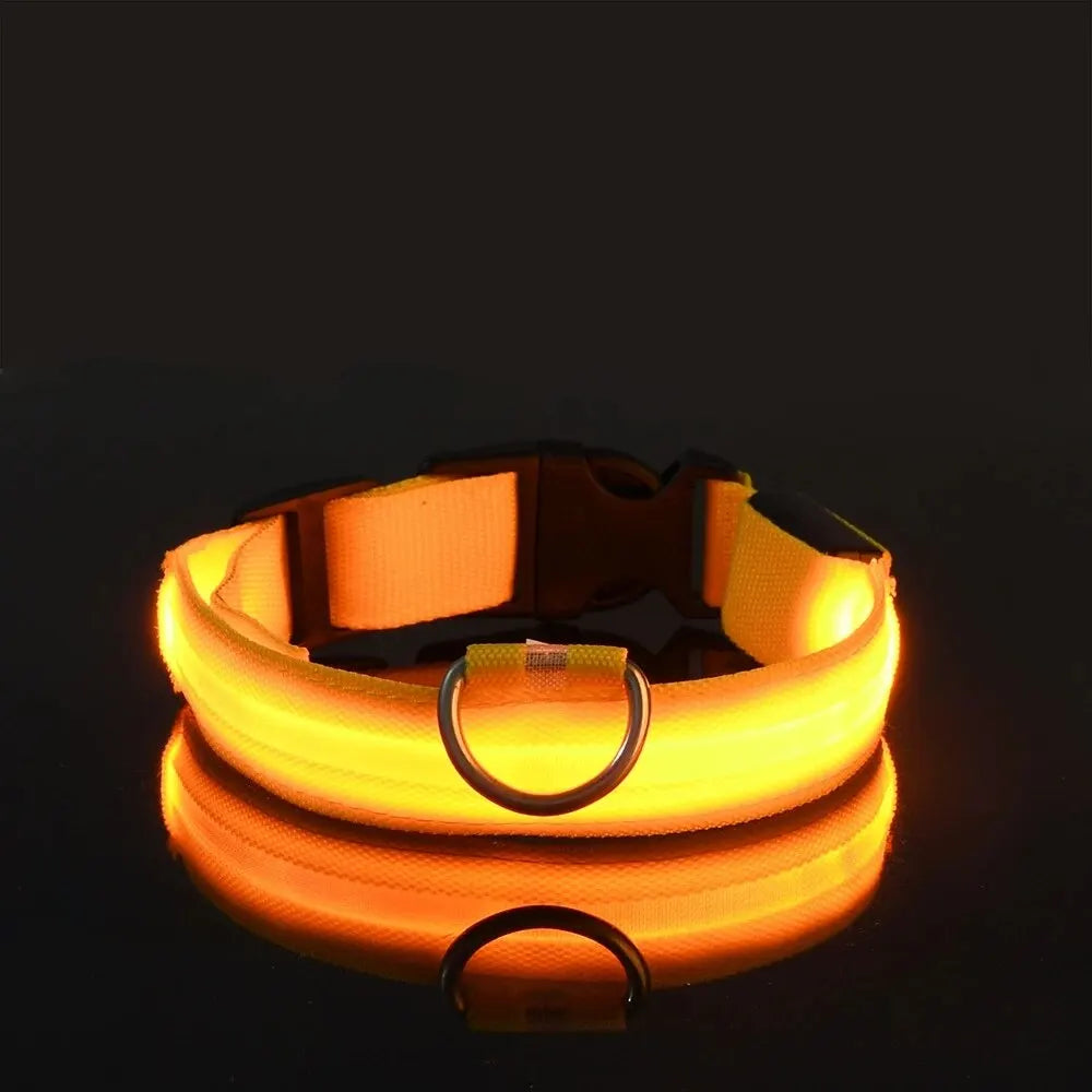 PEThic™ NightGlow - Ultra-Bright LED Safety Dog Collar