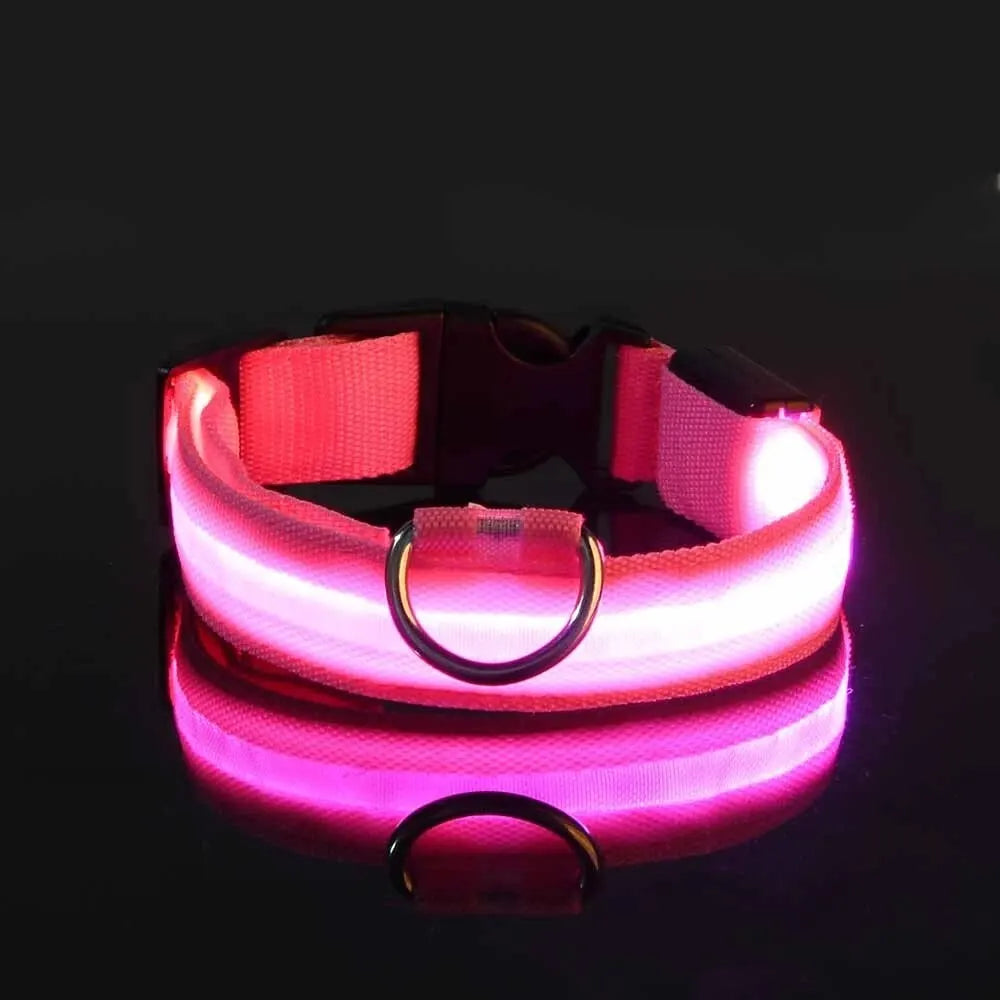 PEThic™ NightGlow - Ultra-Bright LED Safety Dog Collar