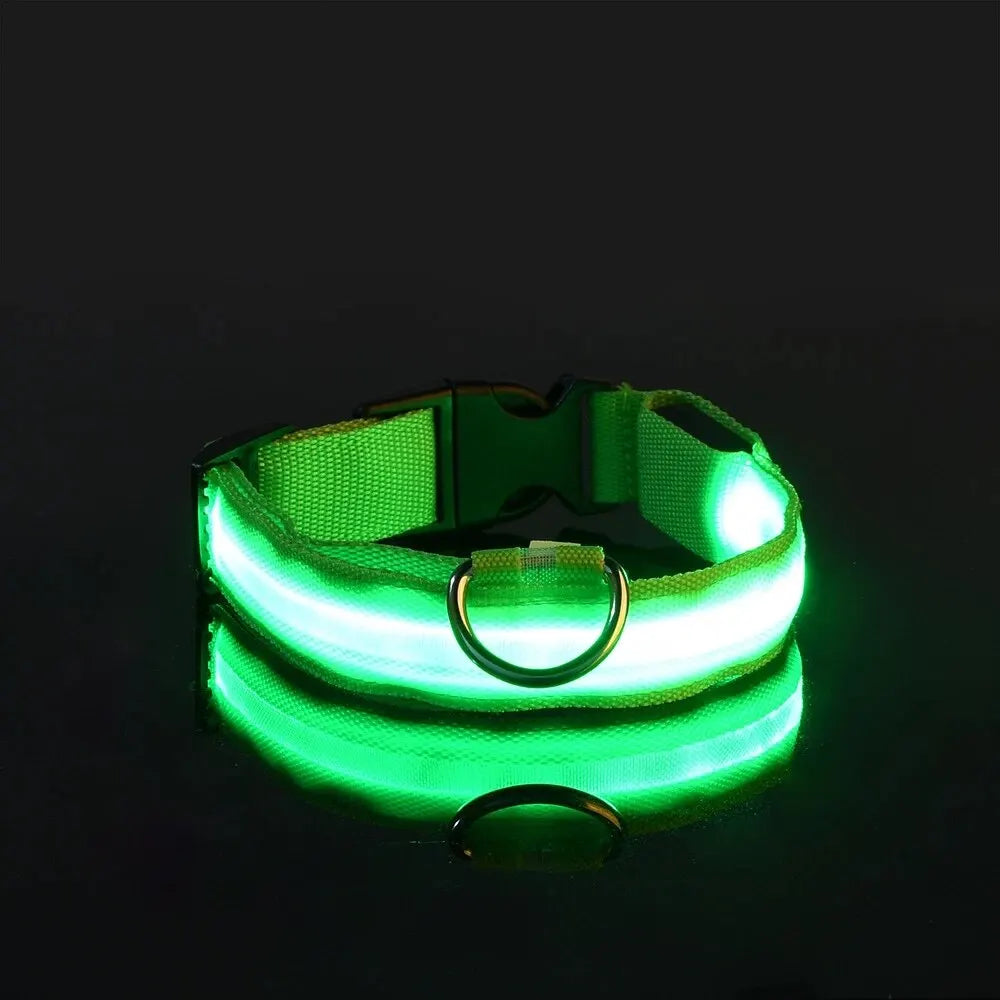PEThic™ NightGlow - Ultra-Bright LED Safety Dog Collar