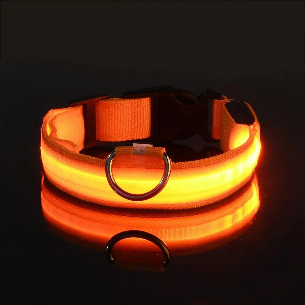 PEThic™ NightGlow - Ultra-Bright LED Safety Dog Collar