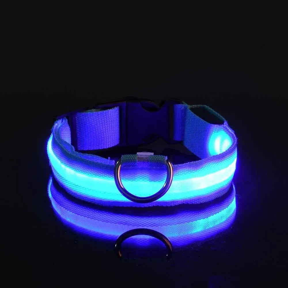PEThic™ NightGlow - Ultra-Bright LED Safety Dog Collar