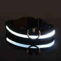 PEThic™ NightGlow - Ultra-Bright LED Safety Dog Collar