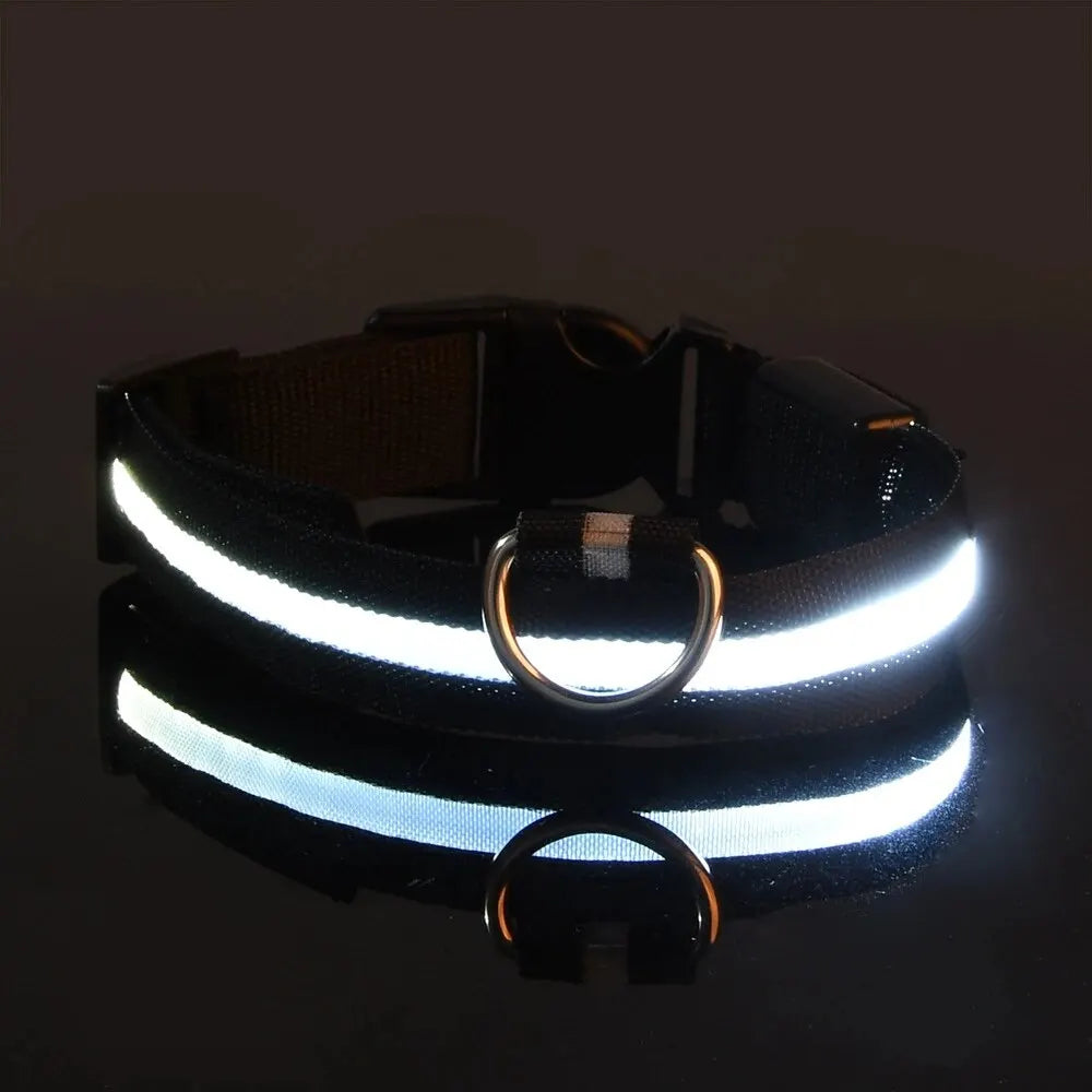 PEThic™ NightGlow - Ultra-Bright LED Safety Dog Collar