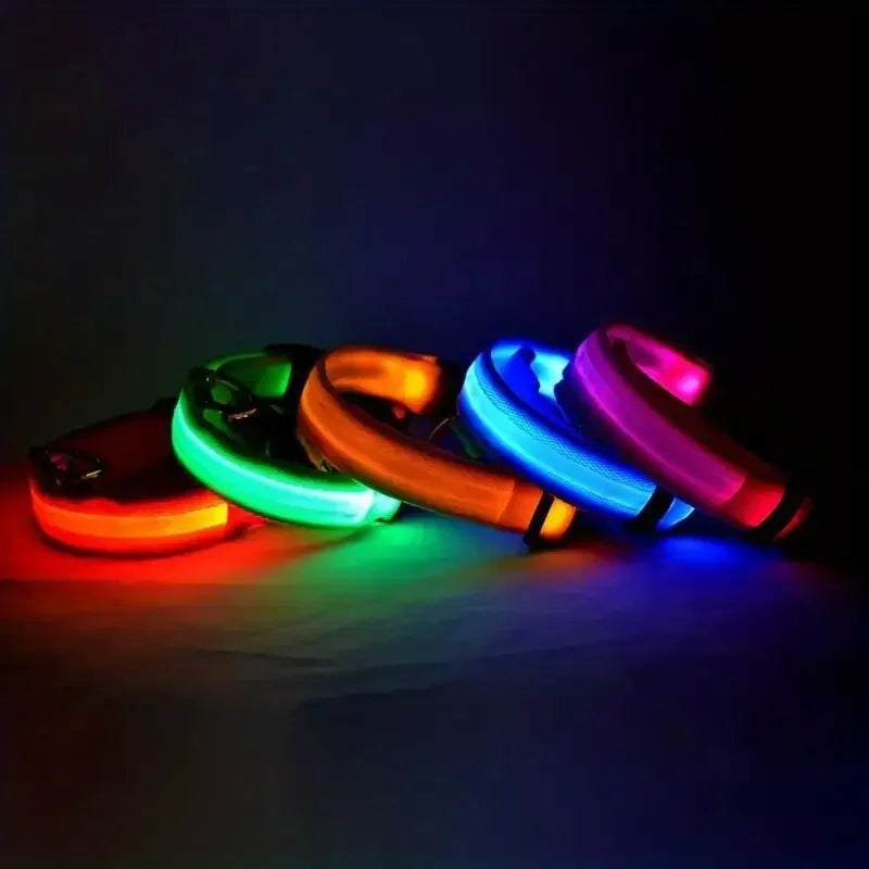 PEThic™ NightGlow - Ultra-Bright LED Safety Dog Collar