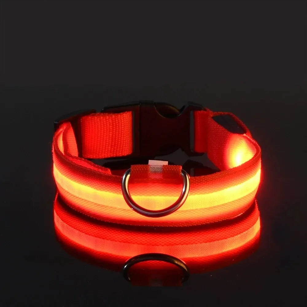 PEThic™ NightGlow - Ultra-Bright LED Safety Dog Collar