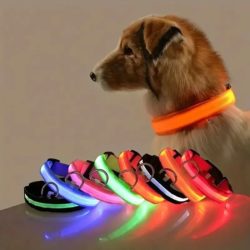 PEThic™ NightGlow - Ultra-Bright LED Safety Dog Collar